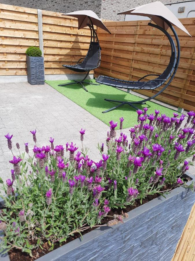 Guesthouse 66 Lommel Bagian luar foto